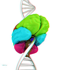 Image showing Brain and dna. 3d illustration. Anaglyph. View with red/cyan gla