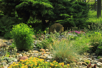 Image showing green spring flower garden