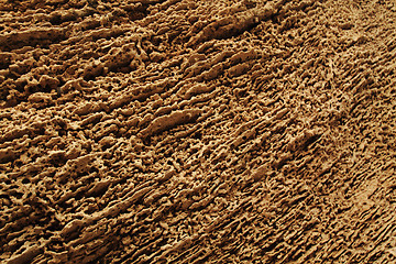 Image showing old sandstone texture by the sea