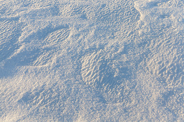 Image showing Photo snow, close-up