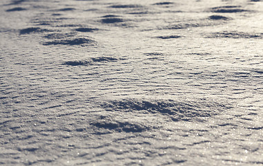 Image showing Snow at sunset