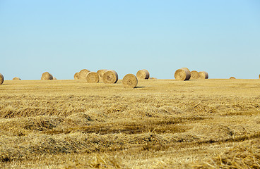 Image showing stack of straw in the field