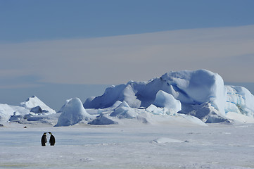 Image showing Beautiful view of icebergs Snow Hill Antarctica
