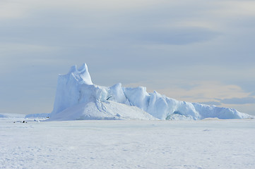 Image showing Beautiful view of icebergs in Snow Hill Antarctica