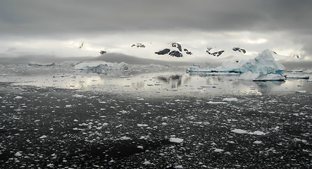 Image showing Mountain view in Antarctica