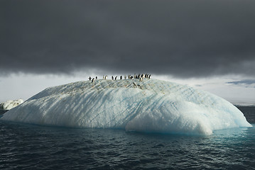 Image showing Beautiful view of icebergs in Antarctica