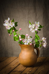 Image showing Branch of a blossoming apple-tree in a clay pitcher, close-up