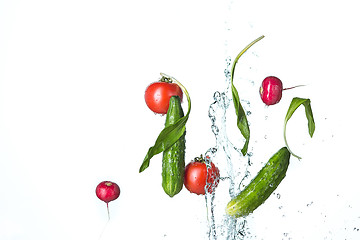 Image showing The fresh tomatos, cucumbers, radish in spray of water.