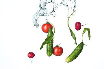 Image showing The fresh tomatos, cucumbers, radish in spray of water.