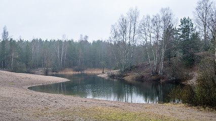 Image showing Foggy spring landscape in the forest lake