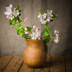 Image showing Branch of a blossoming apple-tree in a clay pitcher, close-up