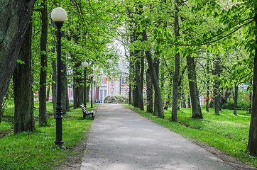 Image showing Picturesque alley in spring time Kadriorg park, Tallinn, Estonia