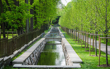 Image showing Picturesque water canal in spring time Kadriorg park, Tallinn, E