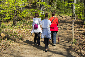 Image showing Three young girls walking in spring forest