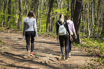 Image showing Three young girls walking in spring forest