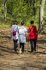 Image showing Three young girls walking in spring forest