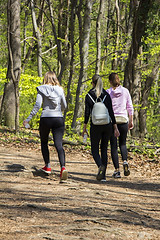 Image showing Three young girls walking in spring forest