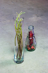 Image showing Still Life with Dried Rosehips