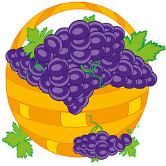 Image showing Basket with grape