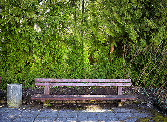 Image showing wooden bench in a park