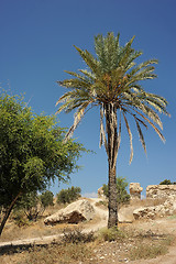 Image showing Park of Ashkelon in Israel