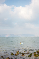 Image showing Sea of Galilee (Kinneret)