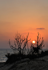 Image showing Mediterranean Coast Israel