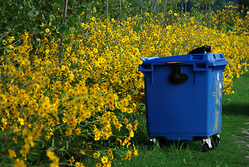 Image showing Yellow Blue Green