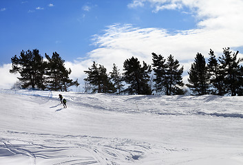 Image showing Two hikers on snow slope in sun winter day