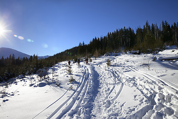 Image showing Freeriders with skis go on footpath in snow at sun winter day