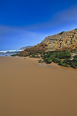 Image showing Green stones on the seashore