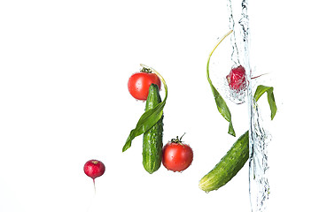 Image showing The fresh tomatos, cucumbers, radish in spray of water.