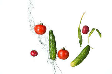 Image showing The fresh tomatos, cucumbers, radish in spray of water.