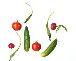 Image showing The fresh tomatos, cucumbers, radish in spray of water.