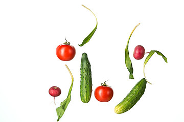 Image showing The fresh tomatos, cucumbers, radish in spray of water.