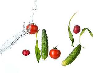 Image showing The fresh tomatos, cucumbers, radish in spray of water.