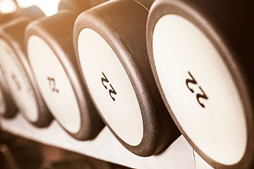 Image showing Barbel weights in gym