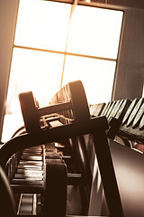 Image showing Rows of dumbbells in the gym