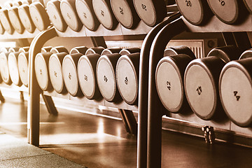 Image showing Rows of dumbbells in the gym