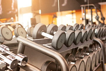 Image showing Rows of dumbbells in the gym