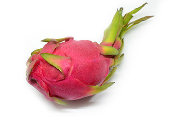 Image showing Pitaya or Dragon Fruit
