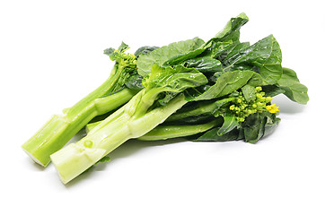 Image showing Bunch of floral choy sum