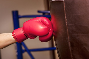 Image showing Close-up hand of boxer at the moment of impact on punching bag