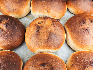 Image showing Pumkin seed buns on baking paper sfter baking at close-up