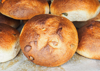 Image showing Pumkin seed buns on baking paper sfter baking at close-up