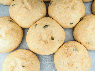 Image showing Pumkin seed buns proofed on baking paper at close-up