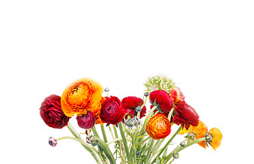 Image showing Ranunkulyus bouquet of red flowers on a white background