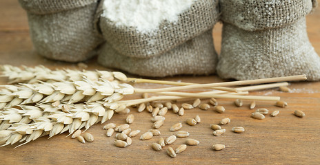 Image showing flour and wheat