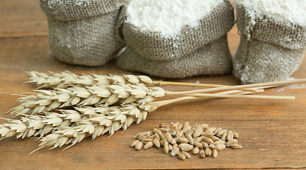 Image showing flour and wheat