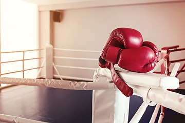 Image showing A pair of red boxing gloves hangs off ring